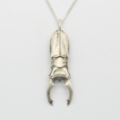 Arma Beetle Pendant - Name My Jewellery