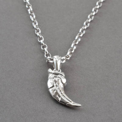 Sterling Silver Raptor Claw Pendant - Name My Jewellery